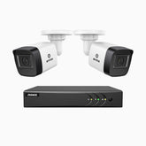 EL200 - 1080p 8 Channel Outdoor Wired Security CCTV System with 2 Cameras, 3.6 MM Lens, Smart DVR with Human & Vehicle Detection, 66 ft Infrared Night Vision, 4-in-1 Output Signal, IP67